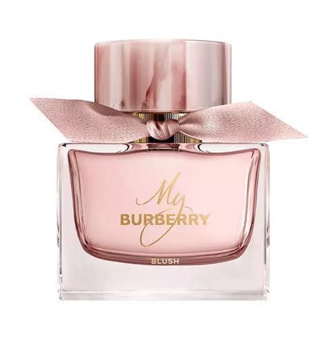 best smelling burberry perfume for women|perfume similar to burberry touch.